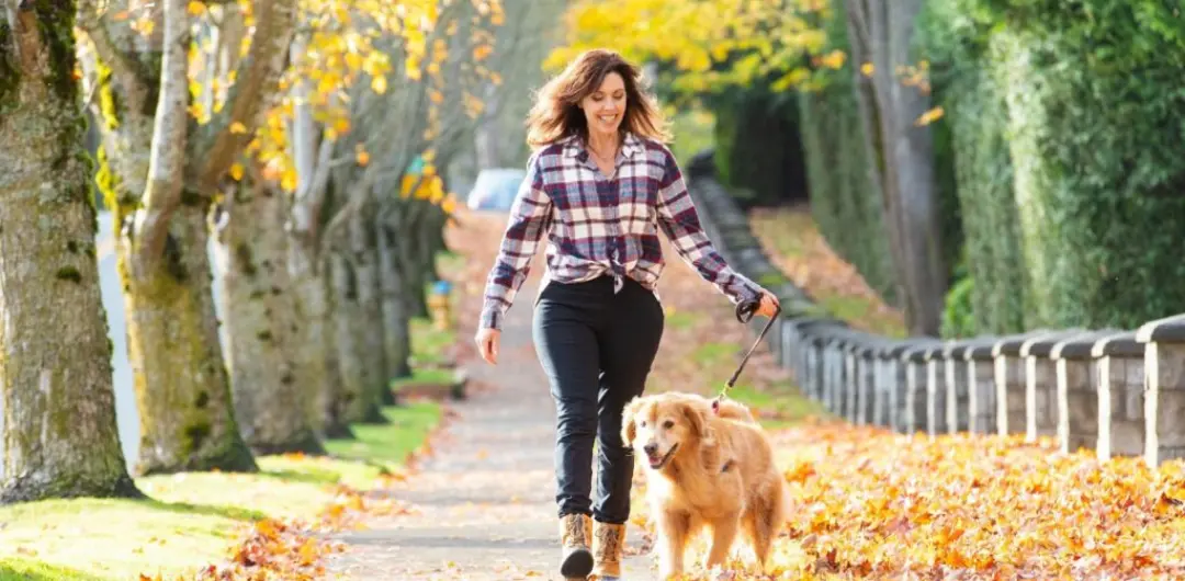 burnout and depression - A person walking with dog